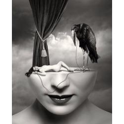 Full colour High Resolution 'Surrealism' Art Prints
