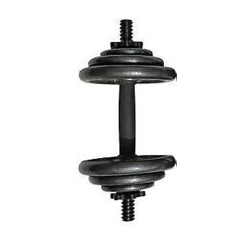 x 1 10kg cast iron Dumbbell