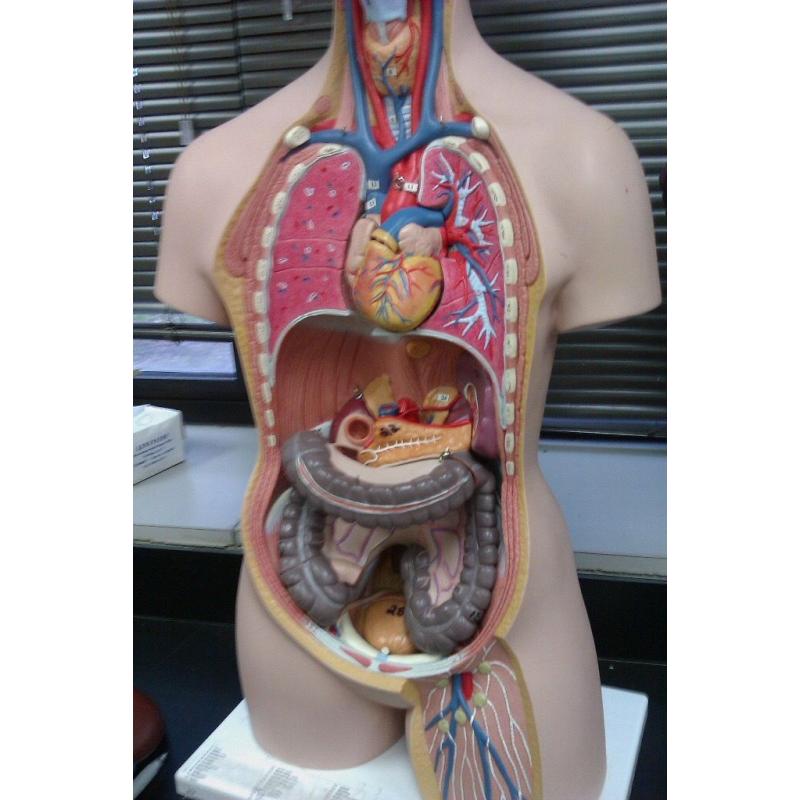 Biology and Science tutor