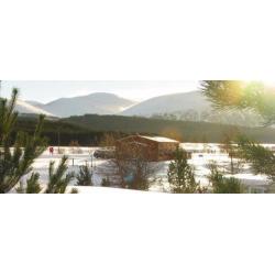 Aviemore Holiday Park Caravan for Hire Anytime this Winter / Dalraddy Holiday Park