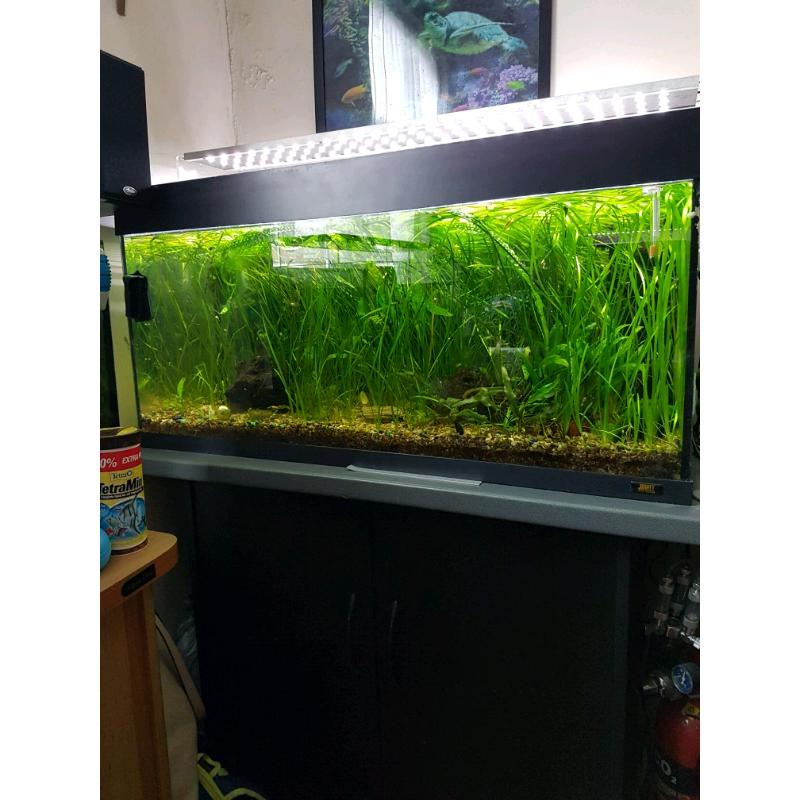 fish tank