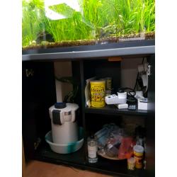 fish tank