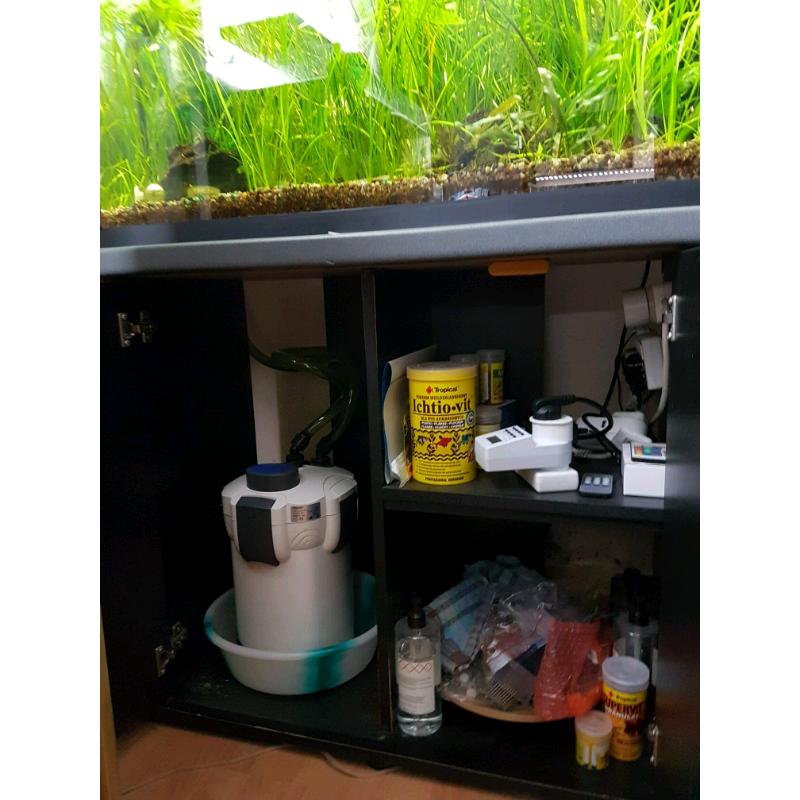fish tank