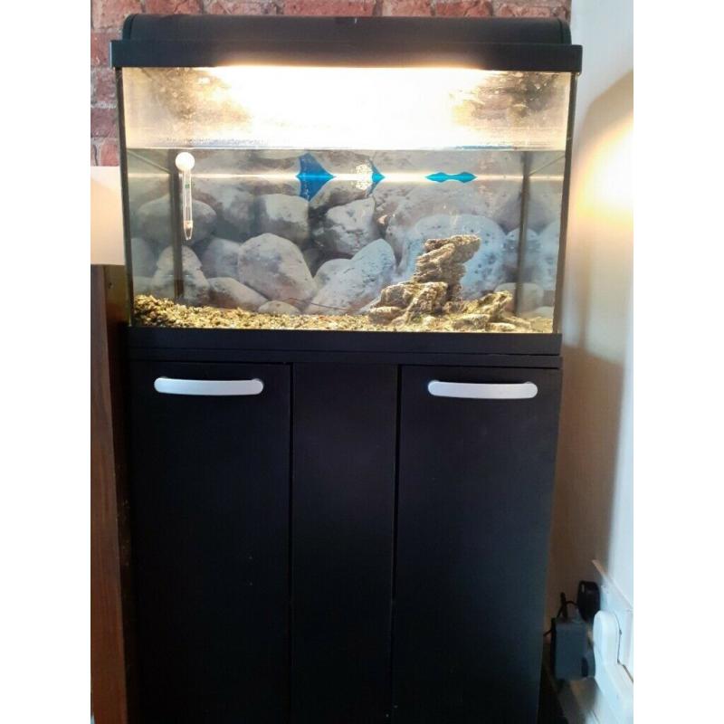 60 litre aquapet fish tank