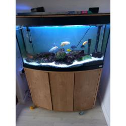 3ft fish tank