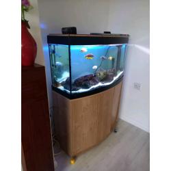 3ft fish tank
