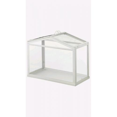 Wanted - Glass Indoor Greenhouse