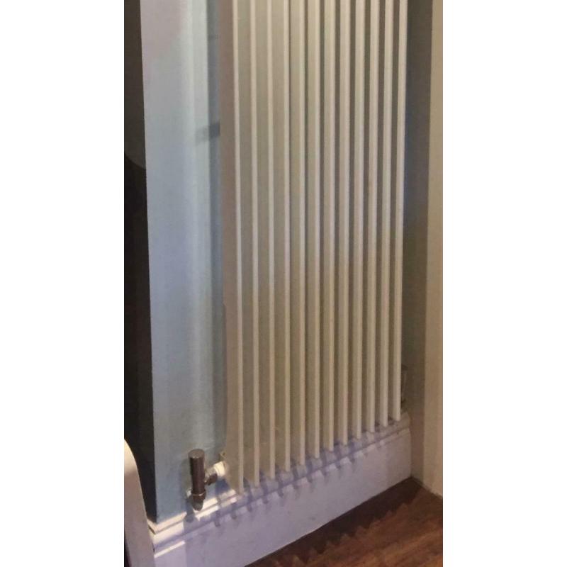 Tall Designer Radiator