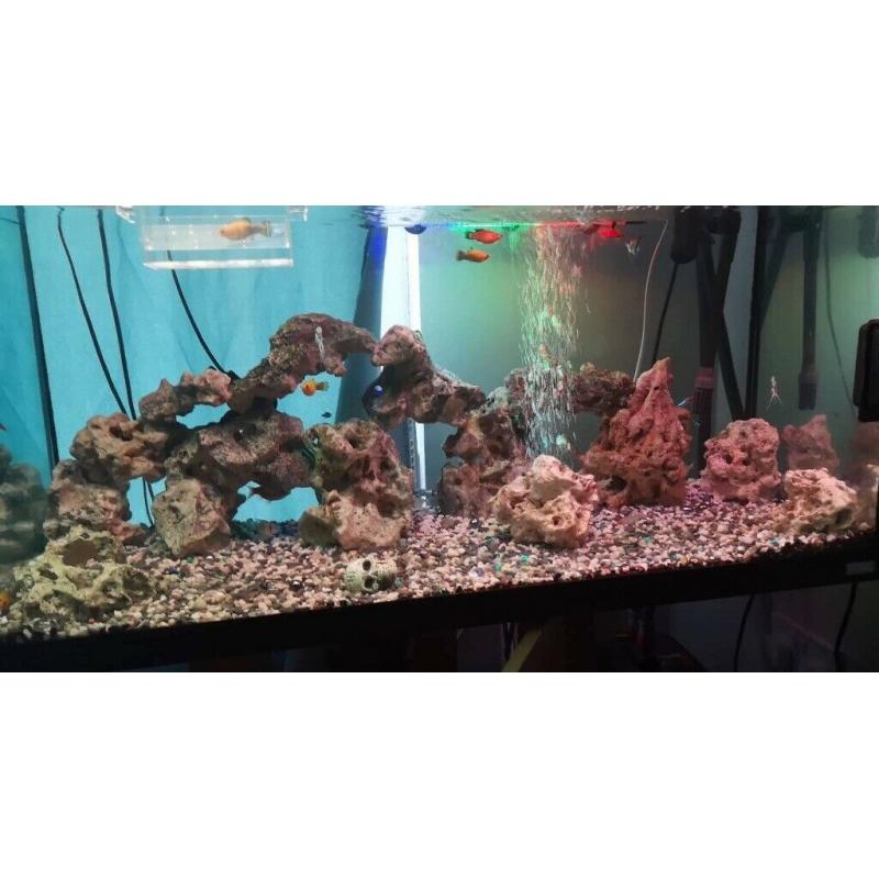 Jewel fish tank & stand