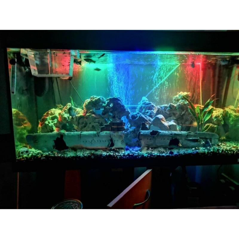 Jewel fish tank & stand