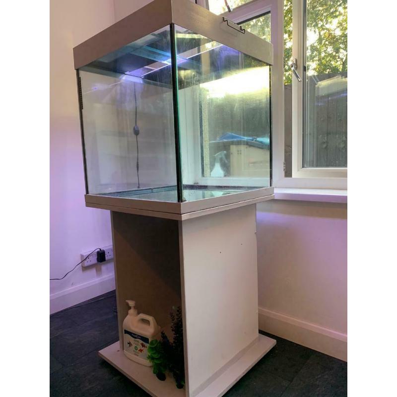 Fish tank