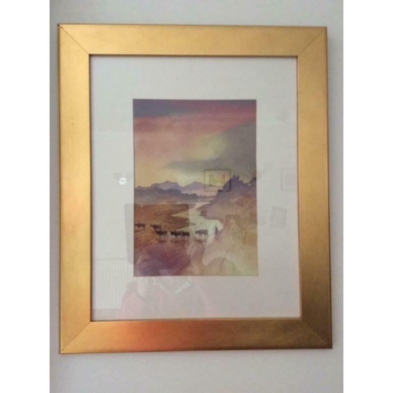 Prints of African wildlife scenes