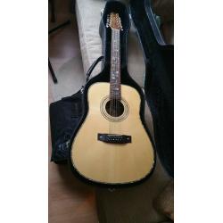 James Neligan 12 string Guitar