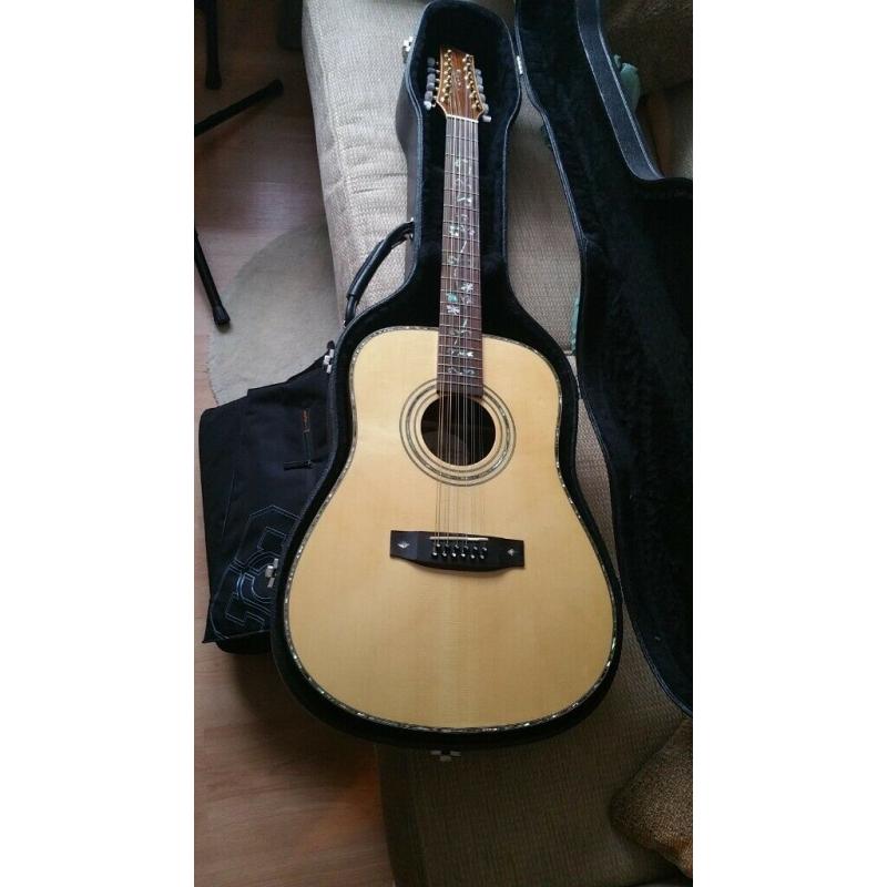 James Neligan 12 string Guitar
