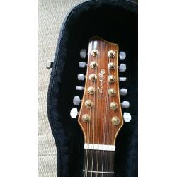 James Neligan 12 string Guitar