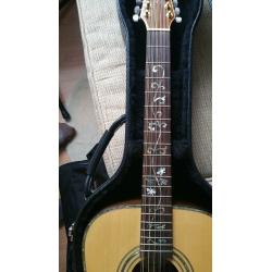 James Neligan 12 string Guitar