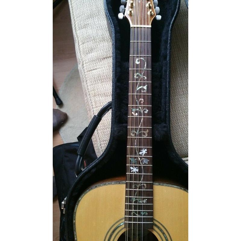 James Neligan 12 string Guitar