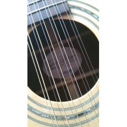James Neligan 12 string Guitar