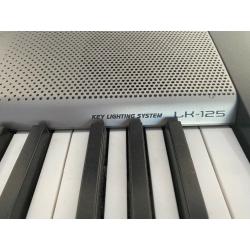 Casio lk125 keyboard and stand