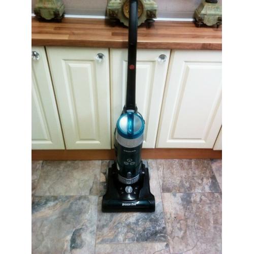 Hoover breeze evo pet hoover