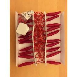 Chilli Fairy Lights