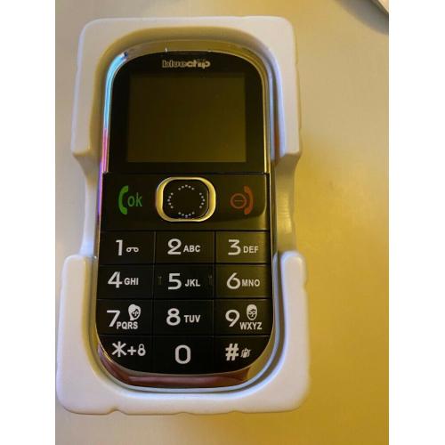 New Blue Chip Big Button Phone