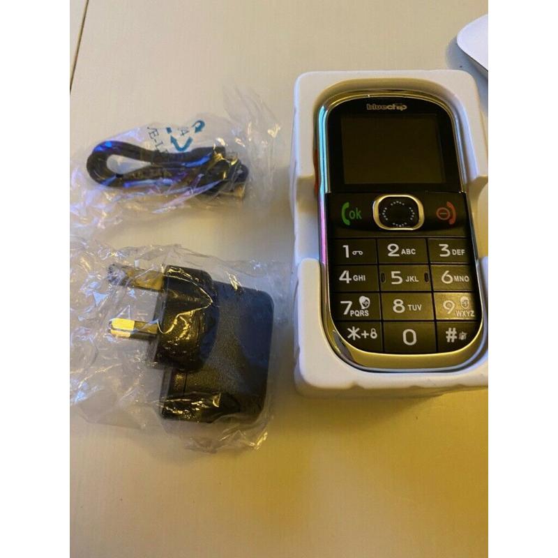 New Blue Chip Big Button Phone