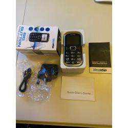 New Blue Chip Big Button Phone