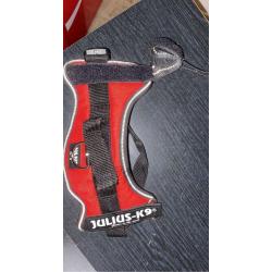 Julius K9 Mini Harness