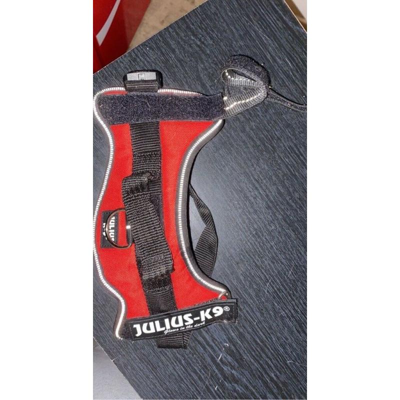 Julius K9 Mini Harness