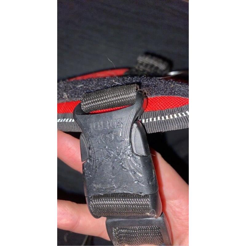 Julius K9 Mini Harness