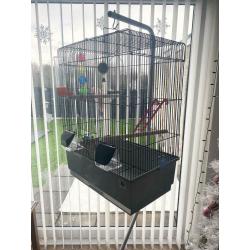 Bird cage and stand