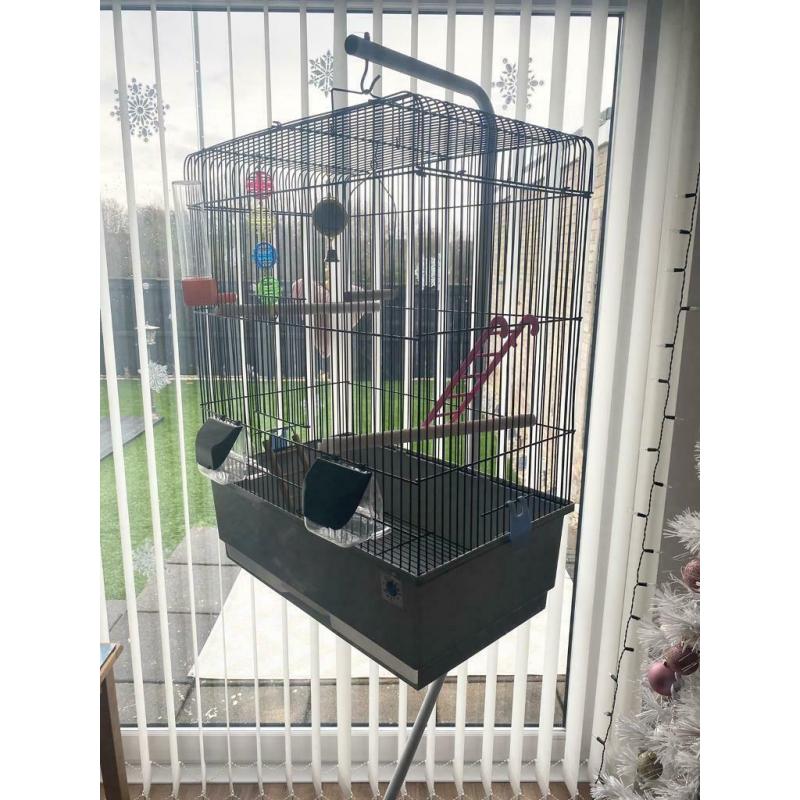 Bird cage and stand