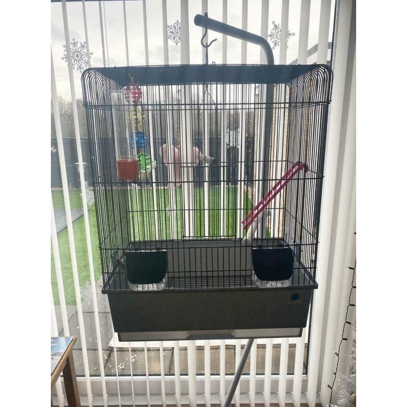 Bird cage and stand