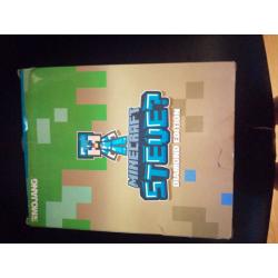 Minecraft Steve diamond adition