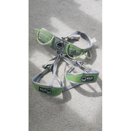 Climbing harness