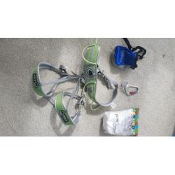 Climbing harness