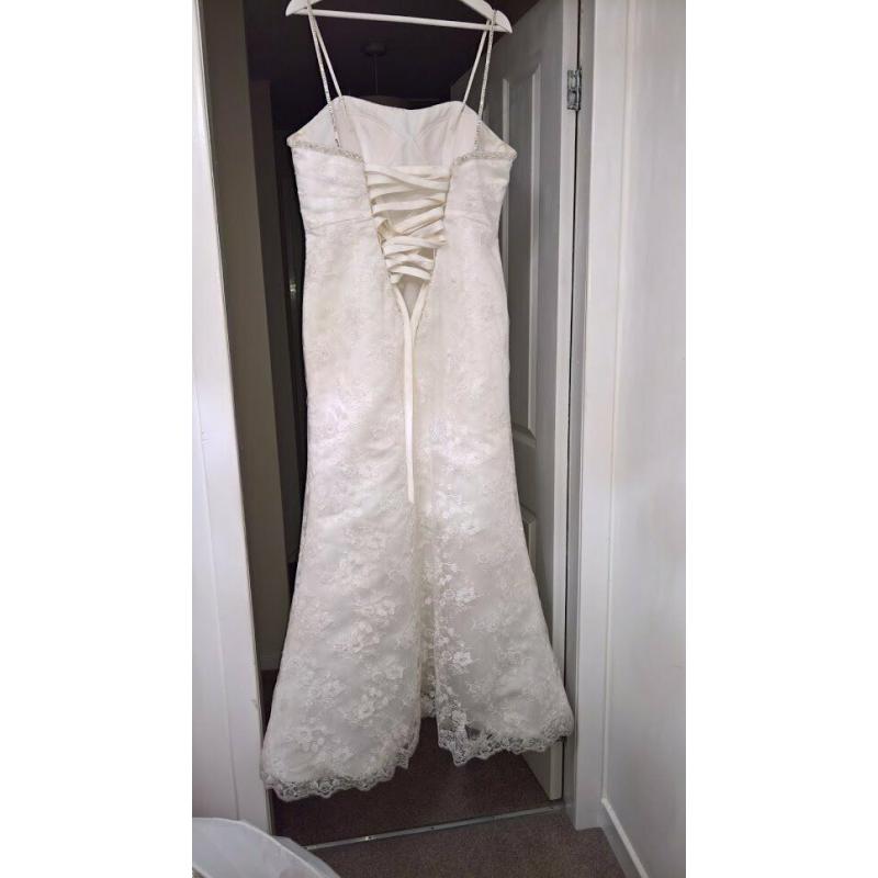 Symphony of Venus & Bella Wedding Dress