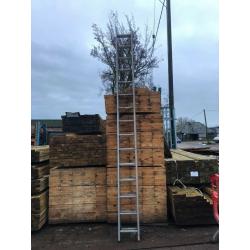 4m Double Ladder