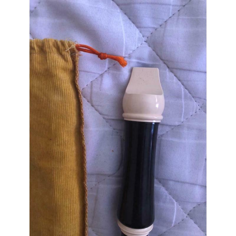 Aulos recorder