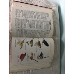 Longman Animal Encyclopedia