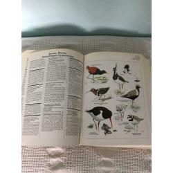 Longman Animal Encyclopedia