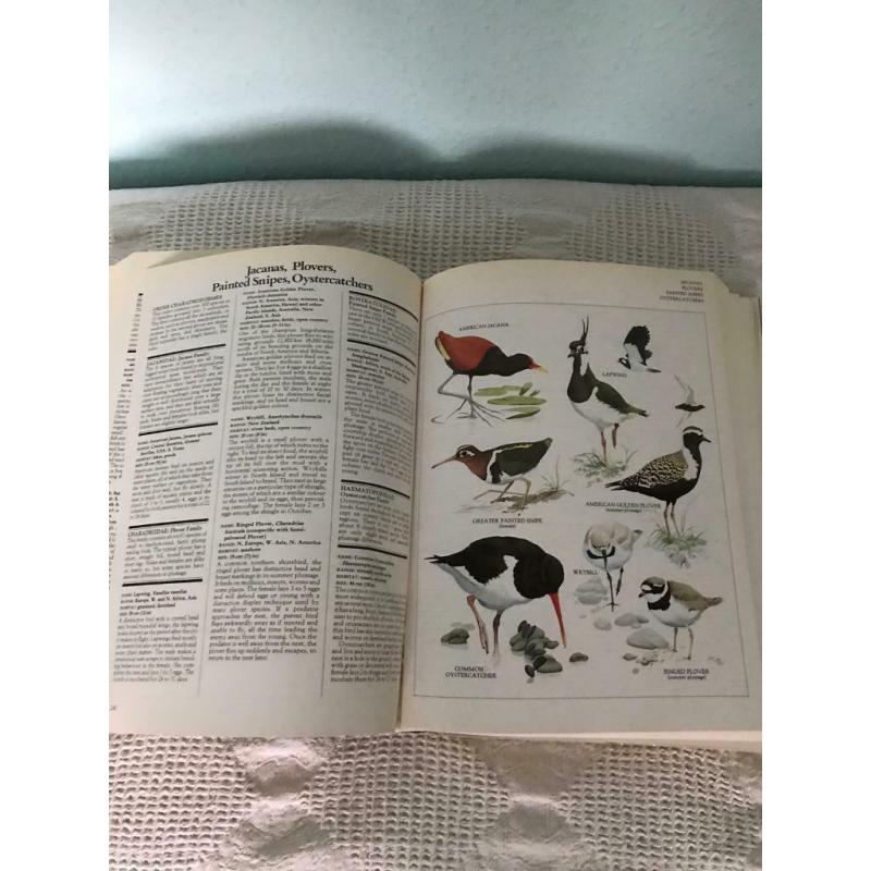 Longman Animal Encyclopedia