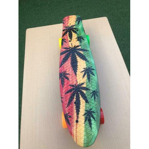 BRAND NEW Jamaican inspired retro cruiser penny board 22? (limited stock)