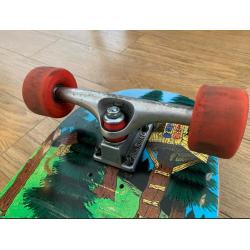 Longboard Cruiser