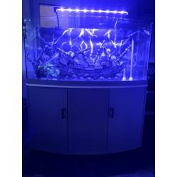 4ft fish tank