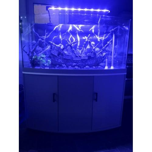 4ft fish tank