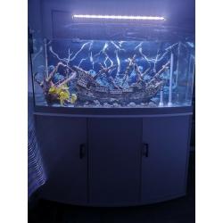 4ft fish tank