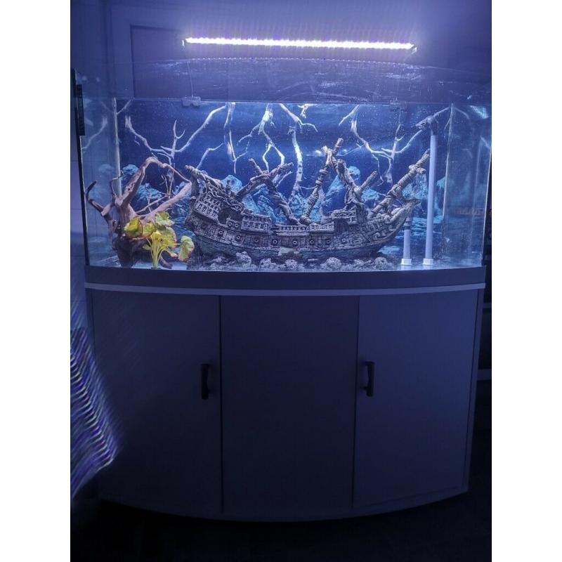 4ft fish tank