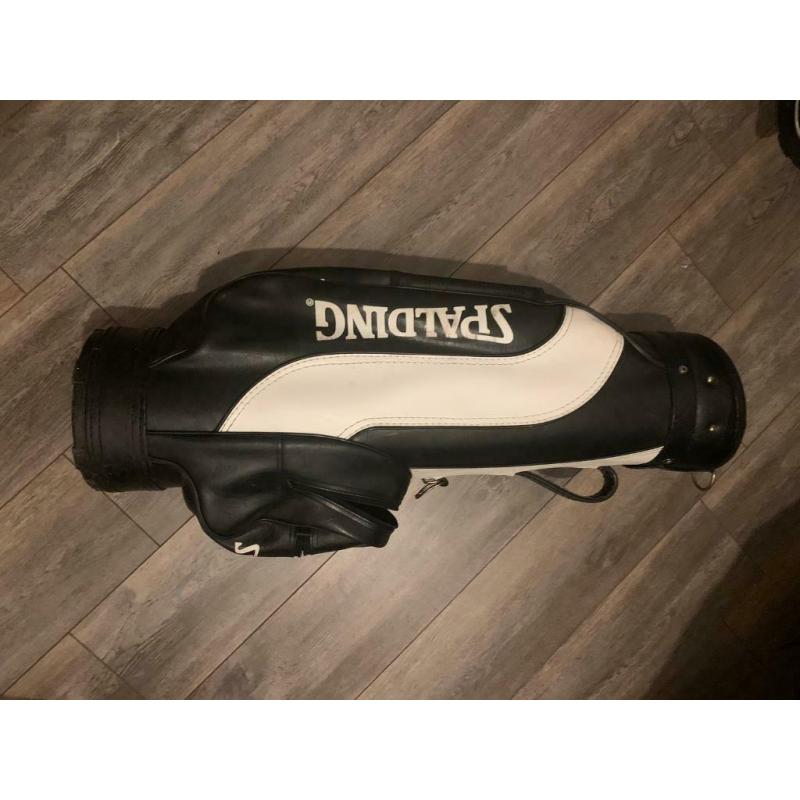 Retro Spalding Golf Bag